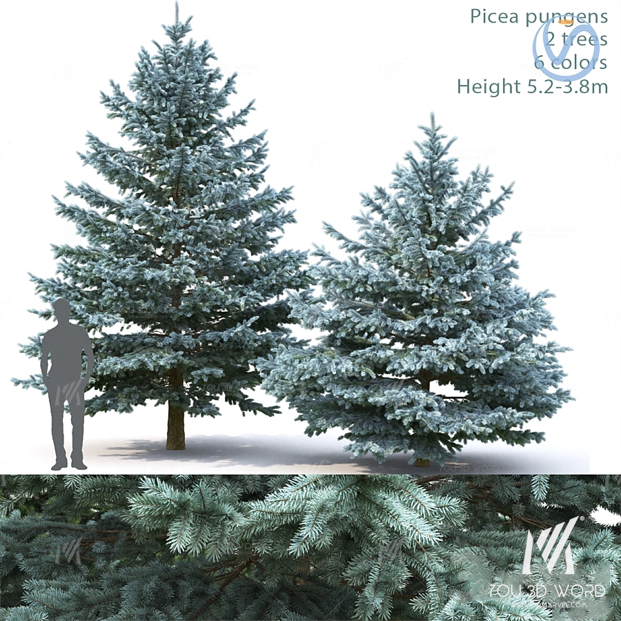 modern landscape tree 3d model